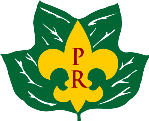 pipsico logo w pr veins- Vector