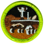 Photo of Robotic merit badge