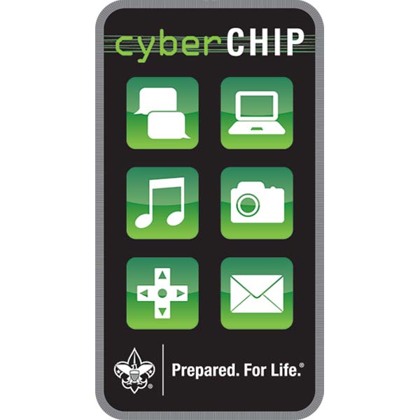 Cyber Chip patch