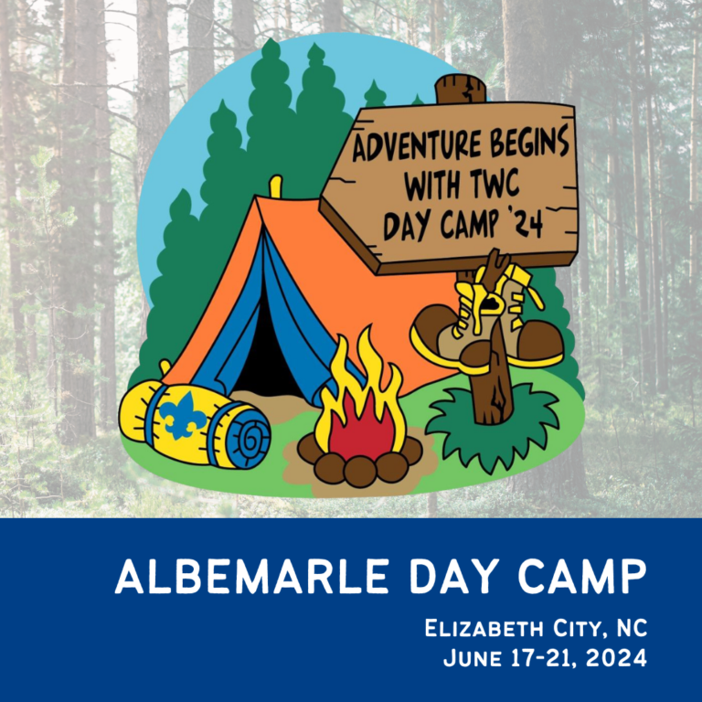 Albemarle Day Camp graphic