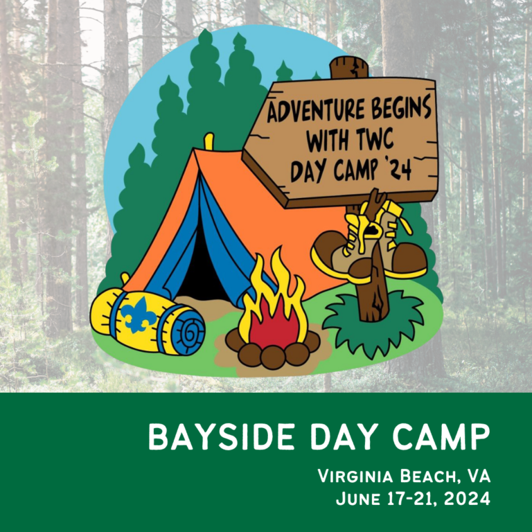 Bayside Day Camp Graphic