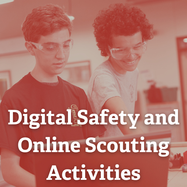 Button for Digital Safety and Online Scouting Activities