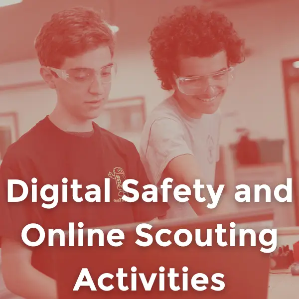 Button for Digital Safety and Online Scouting Activities