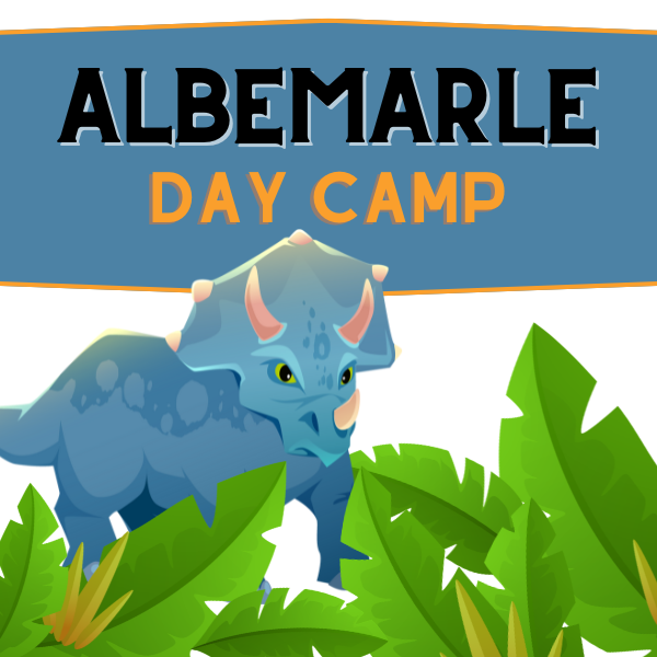 Albemarle Day Camp