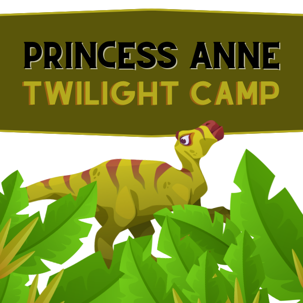 Princess Anne Twilight Camp