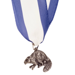 Silver Beaver Award