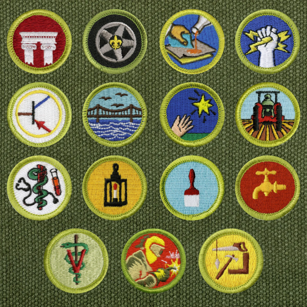 Merit badge emblems for Architecture, Automotive Maintenance, Composite Materials, Electricity, Electronics, Engineering, Entrepreneurship, Farm Mechanics, Health Care Professions, Metalwork, Painting, Plumbing, Veterinary Medicine, Welding, and Woodwork